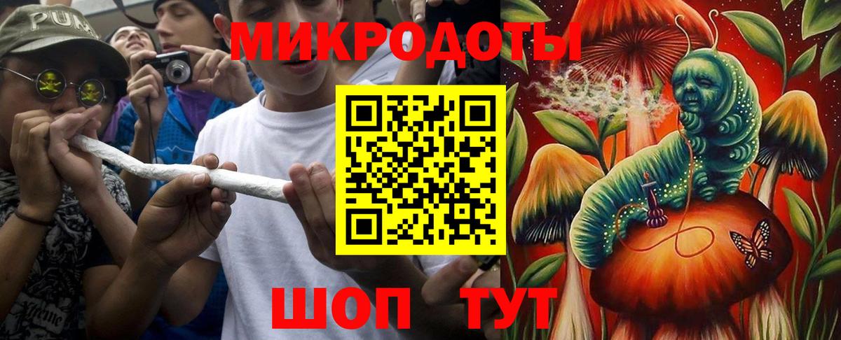 Владимир  Галлюциногенные грибы GOLDEN TEACHER  Вход с VPN  Галлюциногенные грибы Psilocybe 